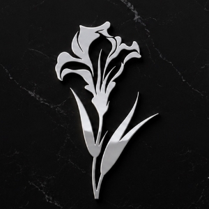 Kvetina - Iris