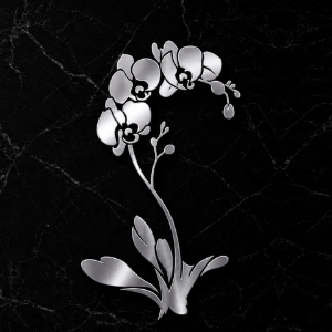 Kvetina - Orchidea